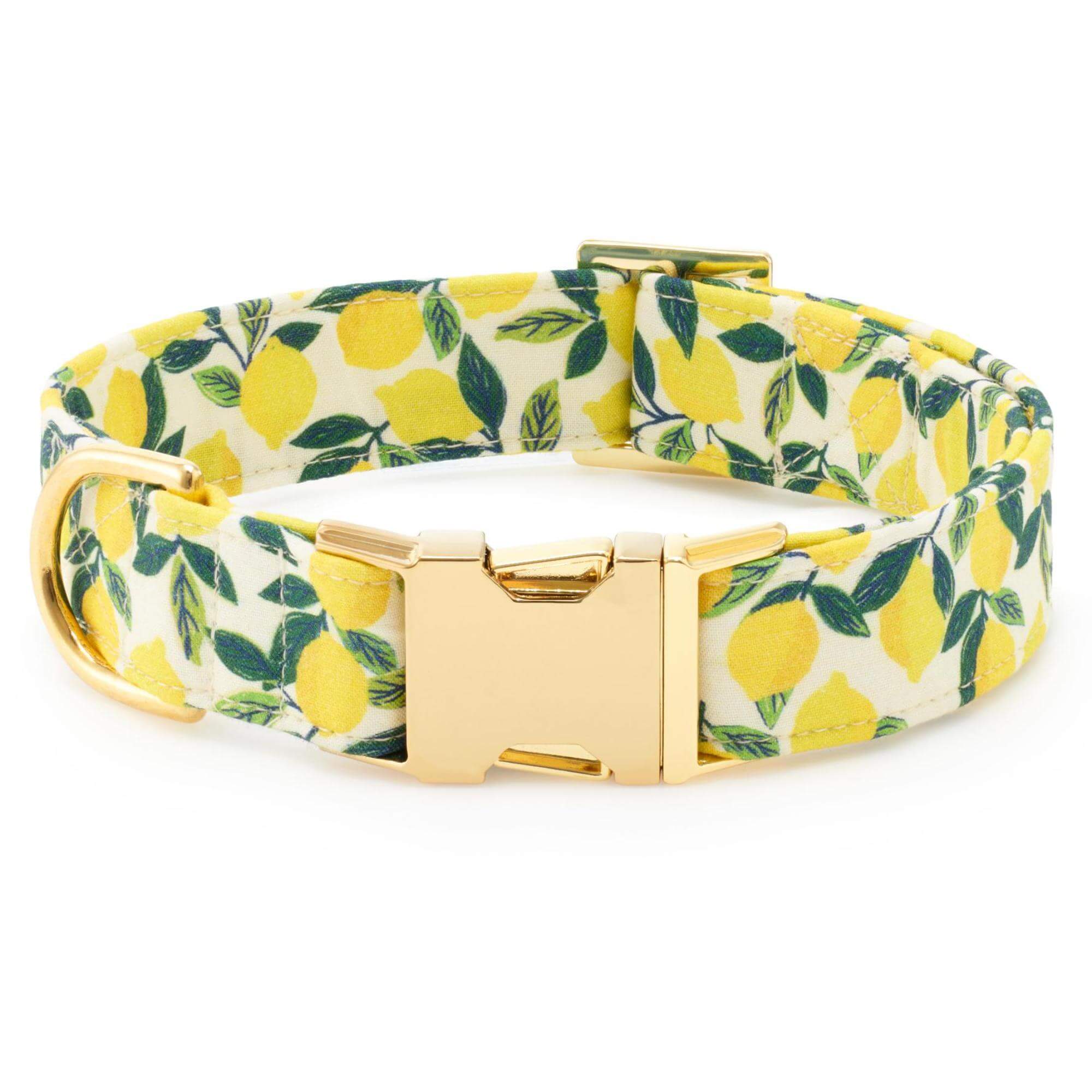 Lemon Zest Dog Collar