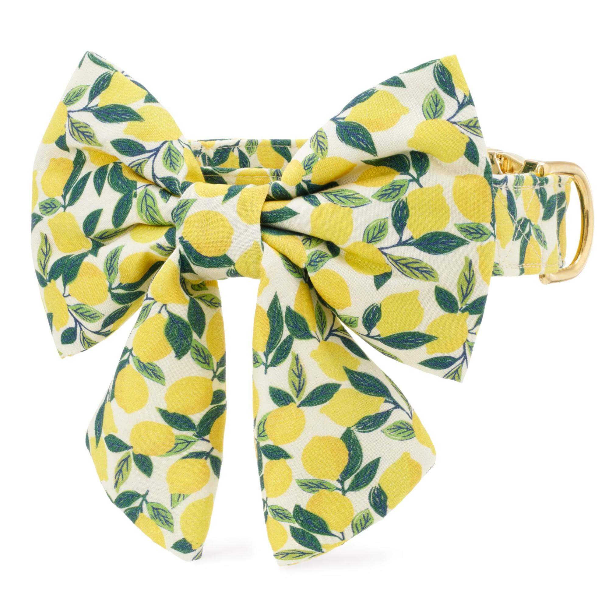 Lemon Zest Lady Bow Collar