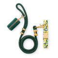 Lemon Zest Collar Walk Set