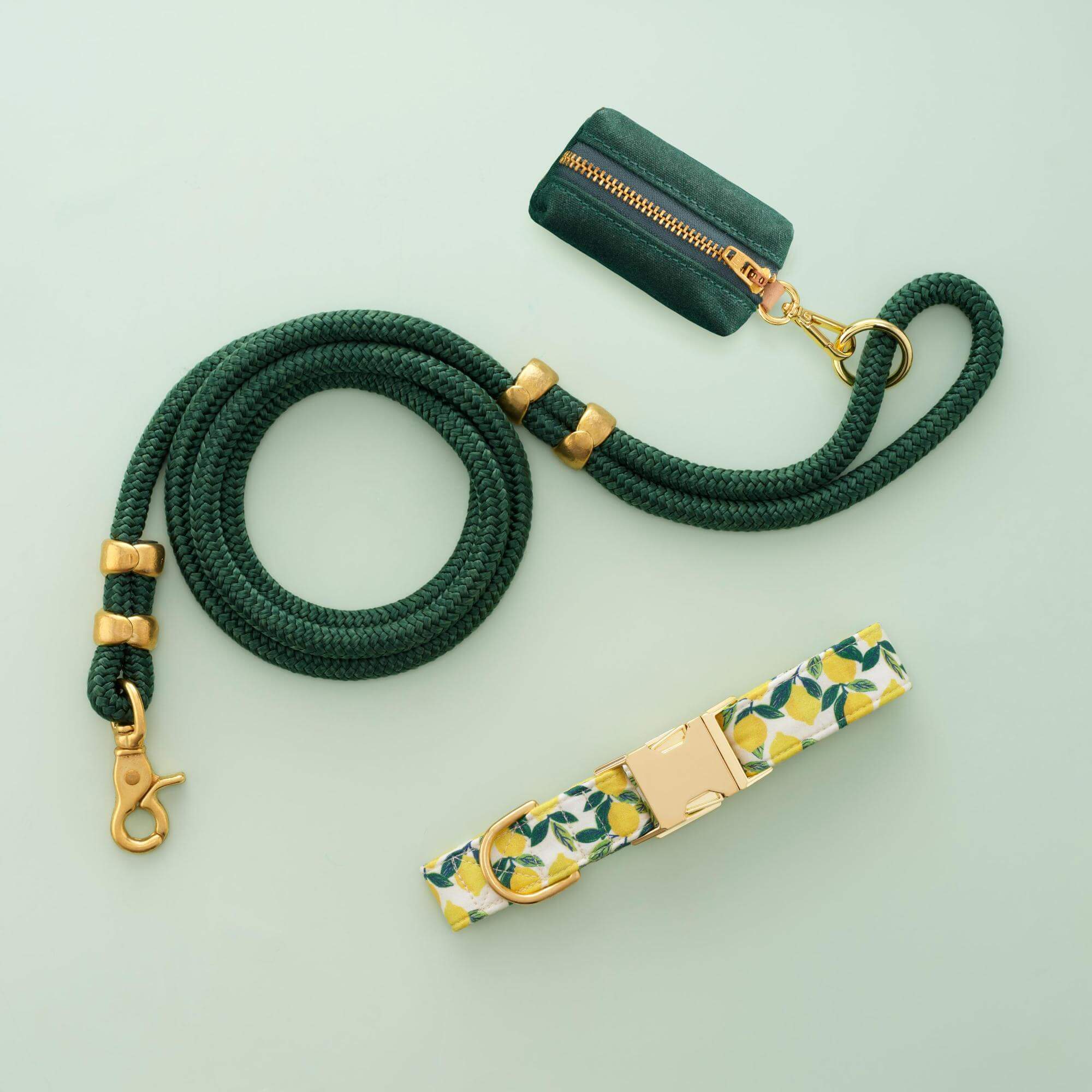 Lemon Zest Collar Walk Set