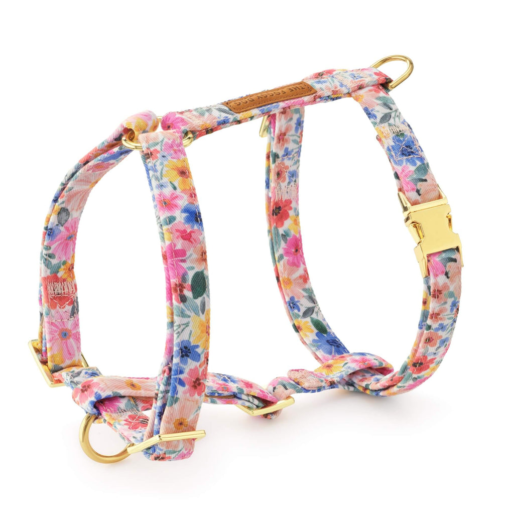 Margaux Dog Harness
