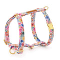 Margaux Dog Harness