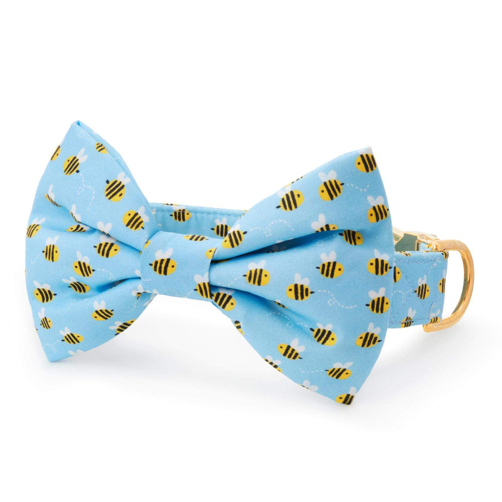 Sweet as Can Bee Bow Tie Collar