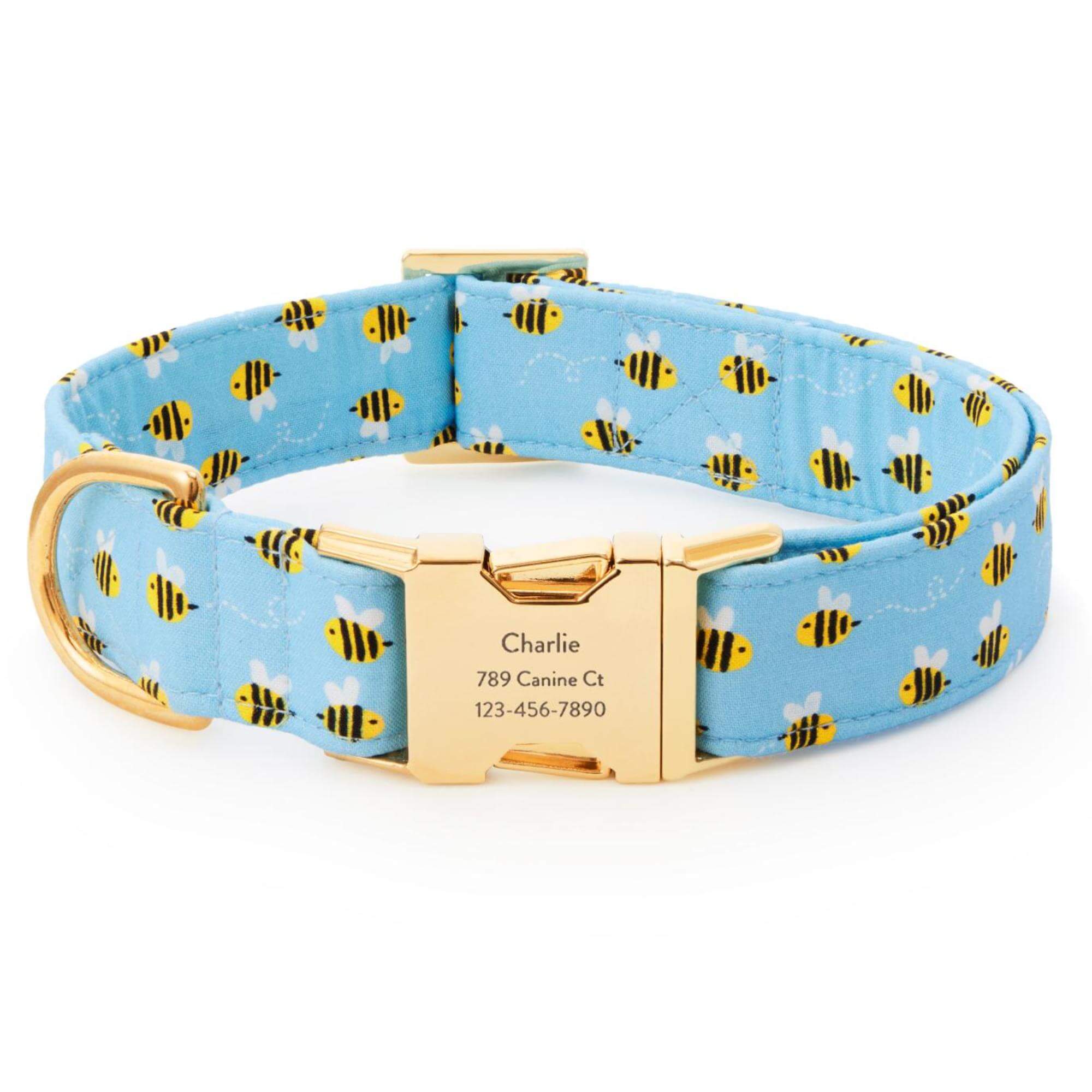 Sweet as Can Bee Dog Collar
