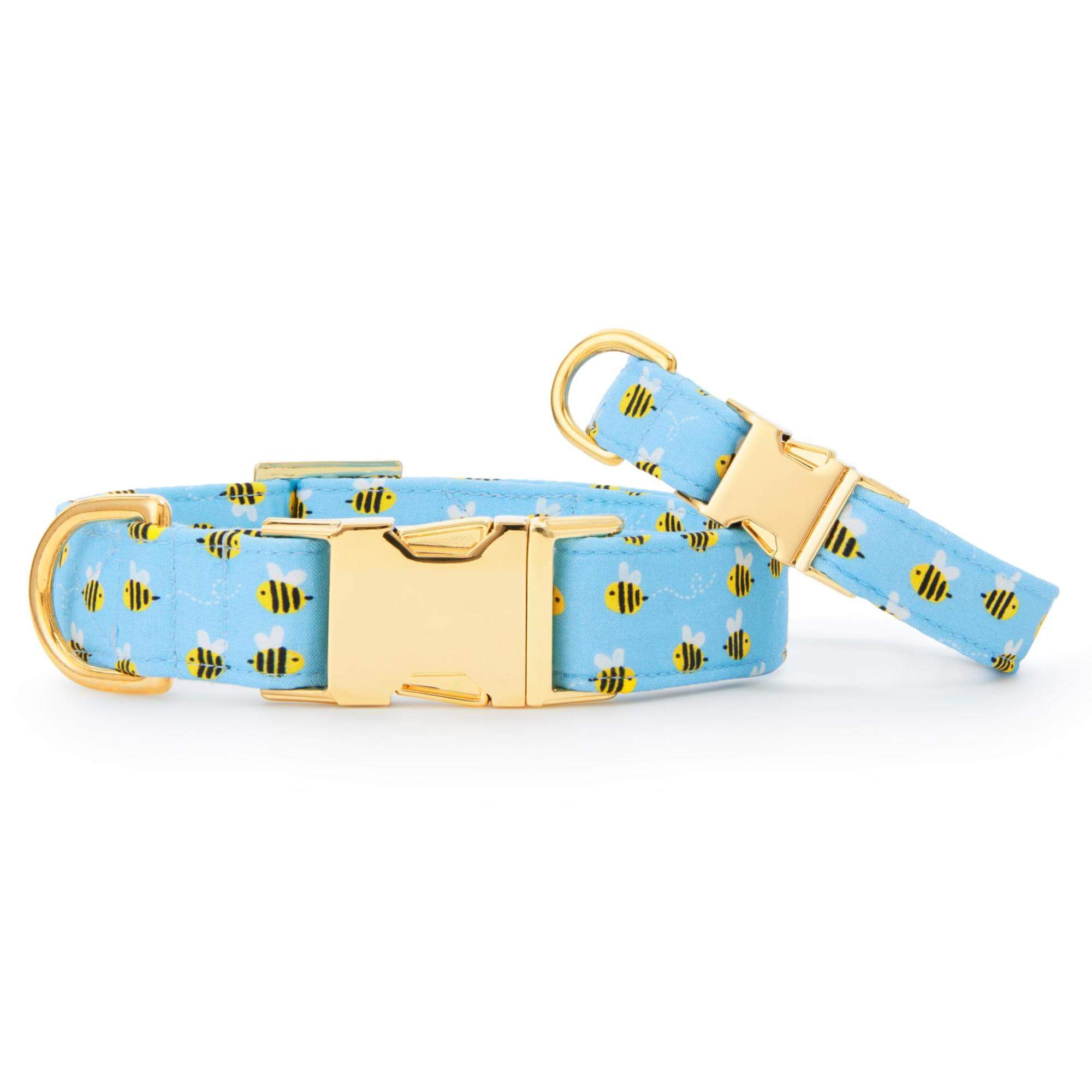 Sweet as Can Bee Dog Collar