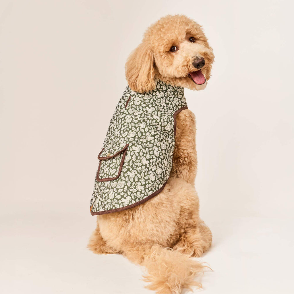 Olive Reversible Dog Jacket