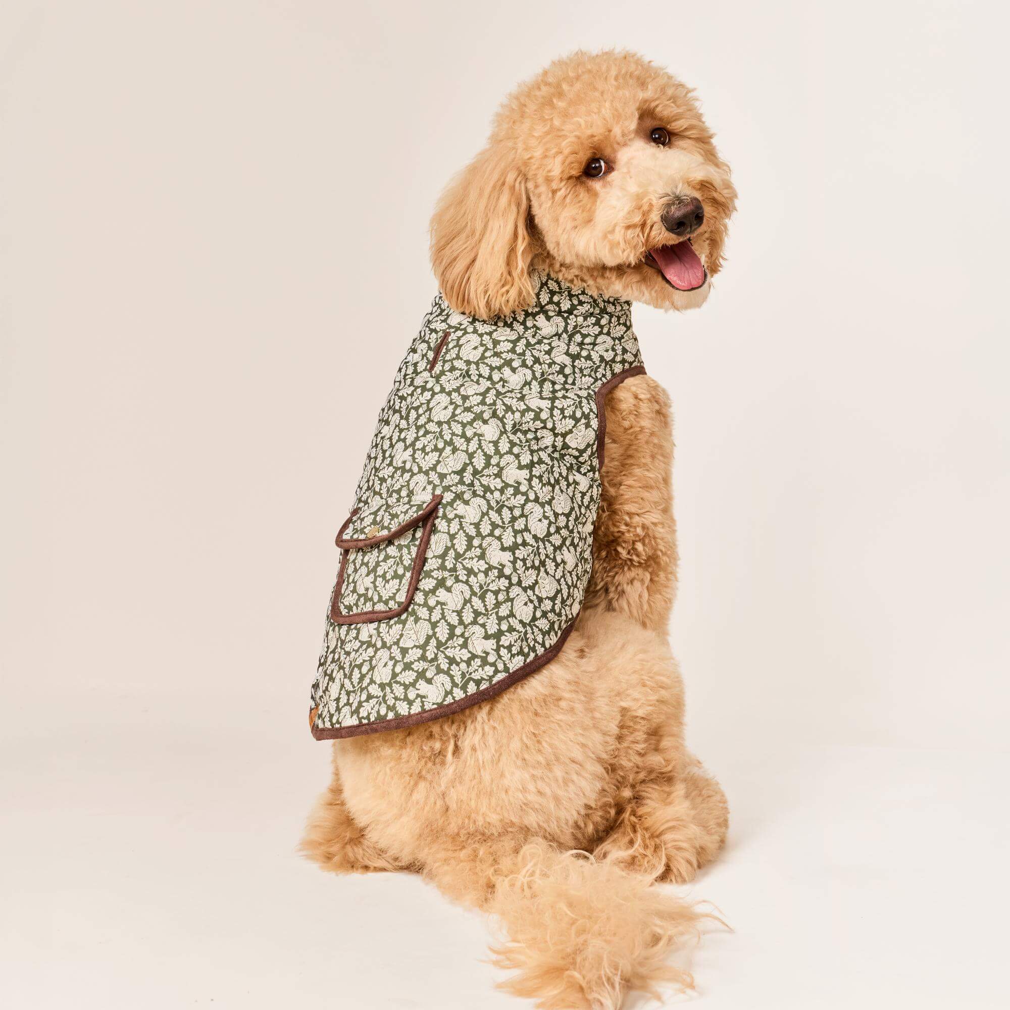 Olive Reversible Dog Jacket