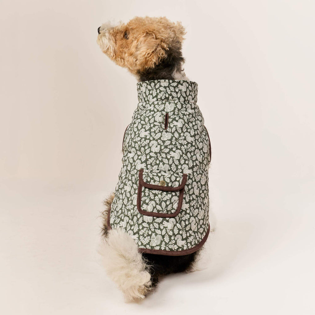 Olive Reversible Dog Jacket