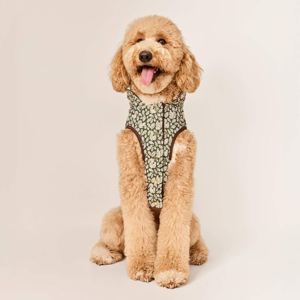 Olive Reversible Dog Jacket