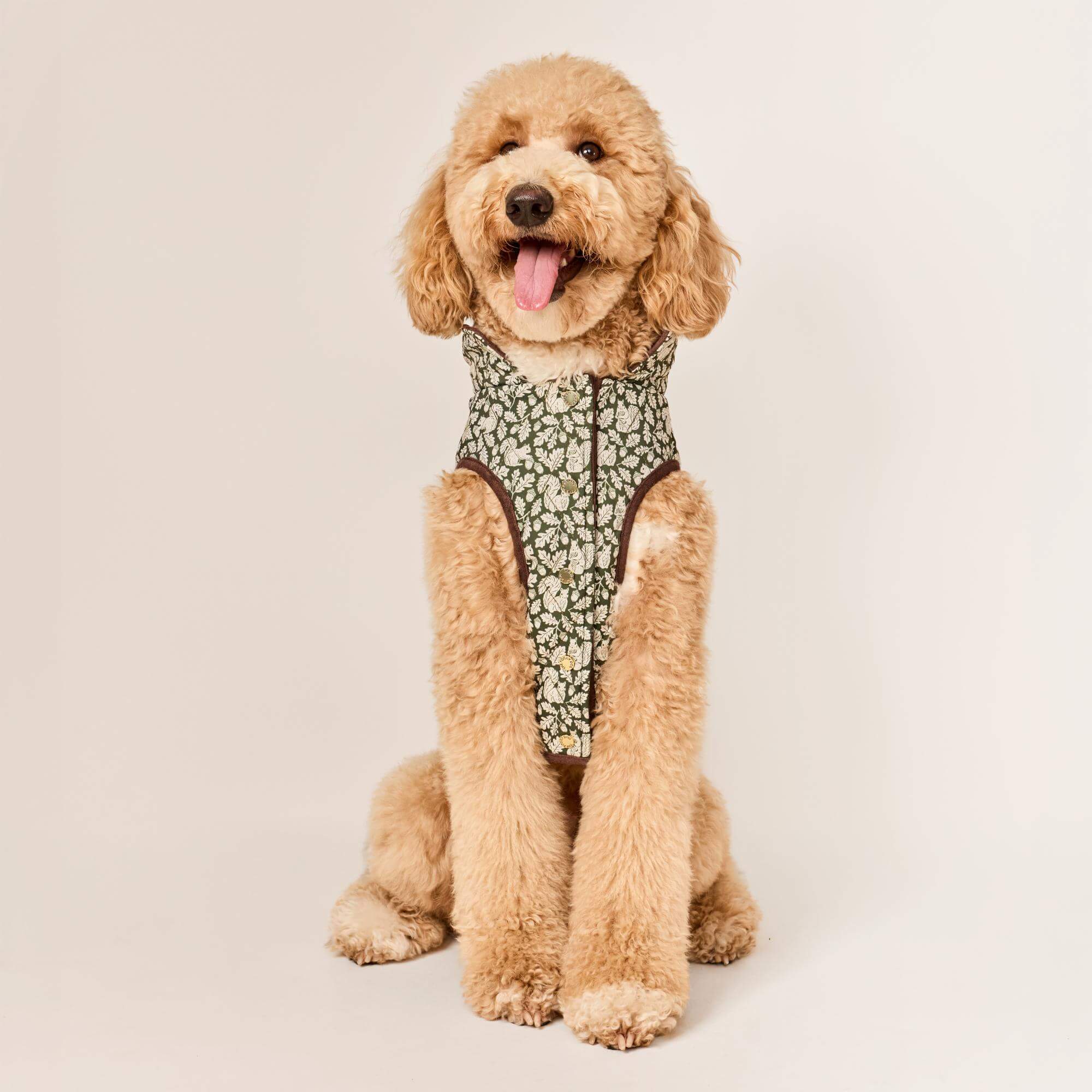 Olive Reversible Dog Jacket