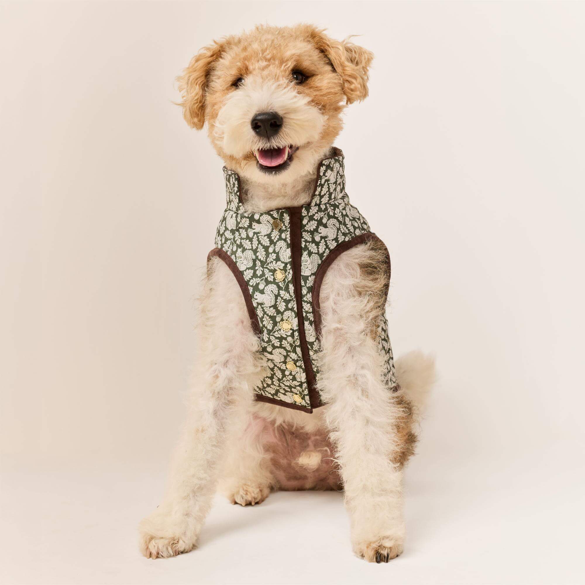 Olive Reversible Dog Jacket