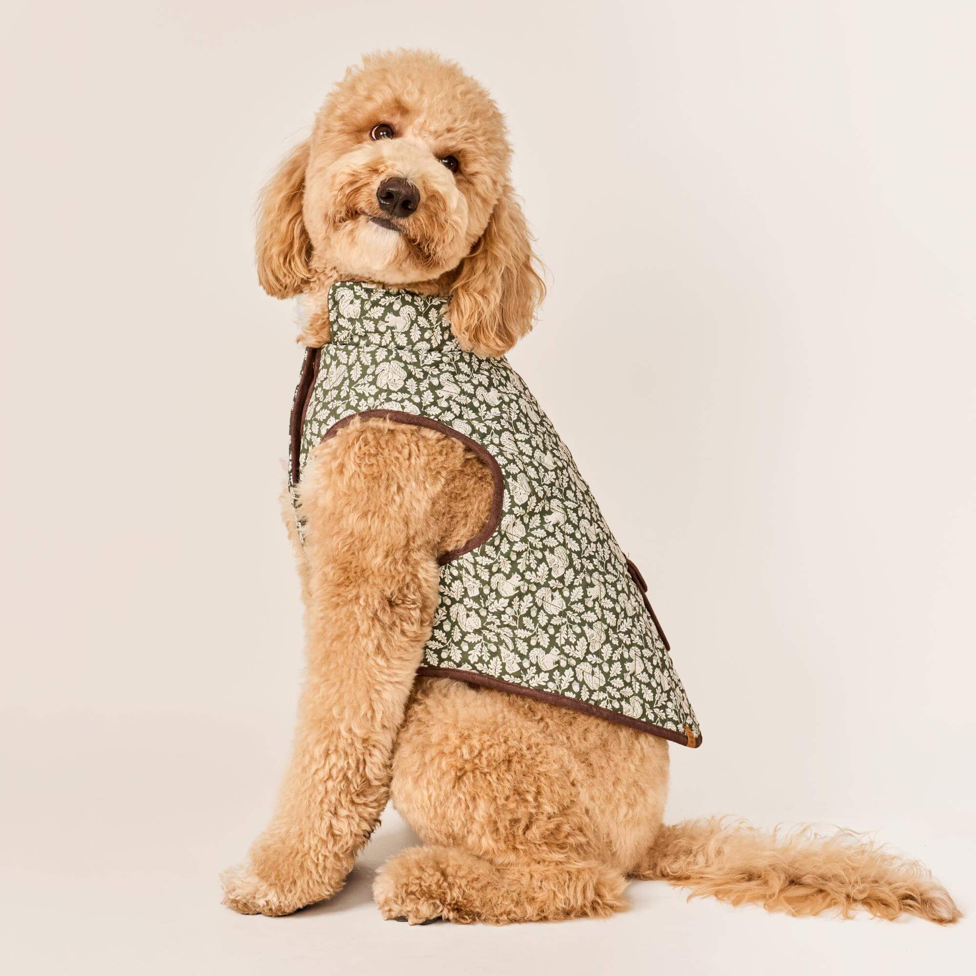 Olive Reversible Dog Jacket