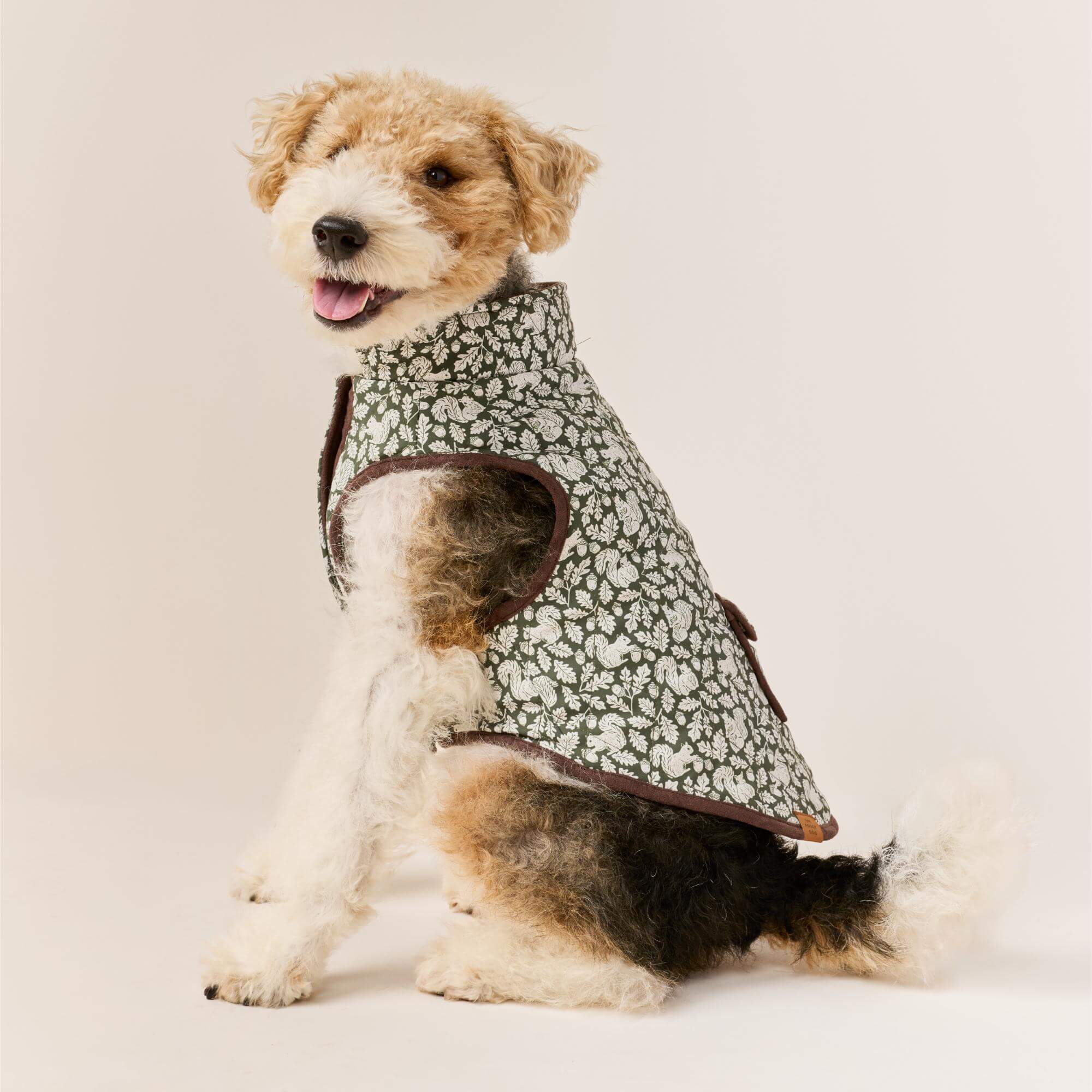 Olive Reversible Dog Jacket
