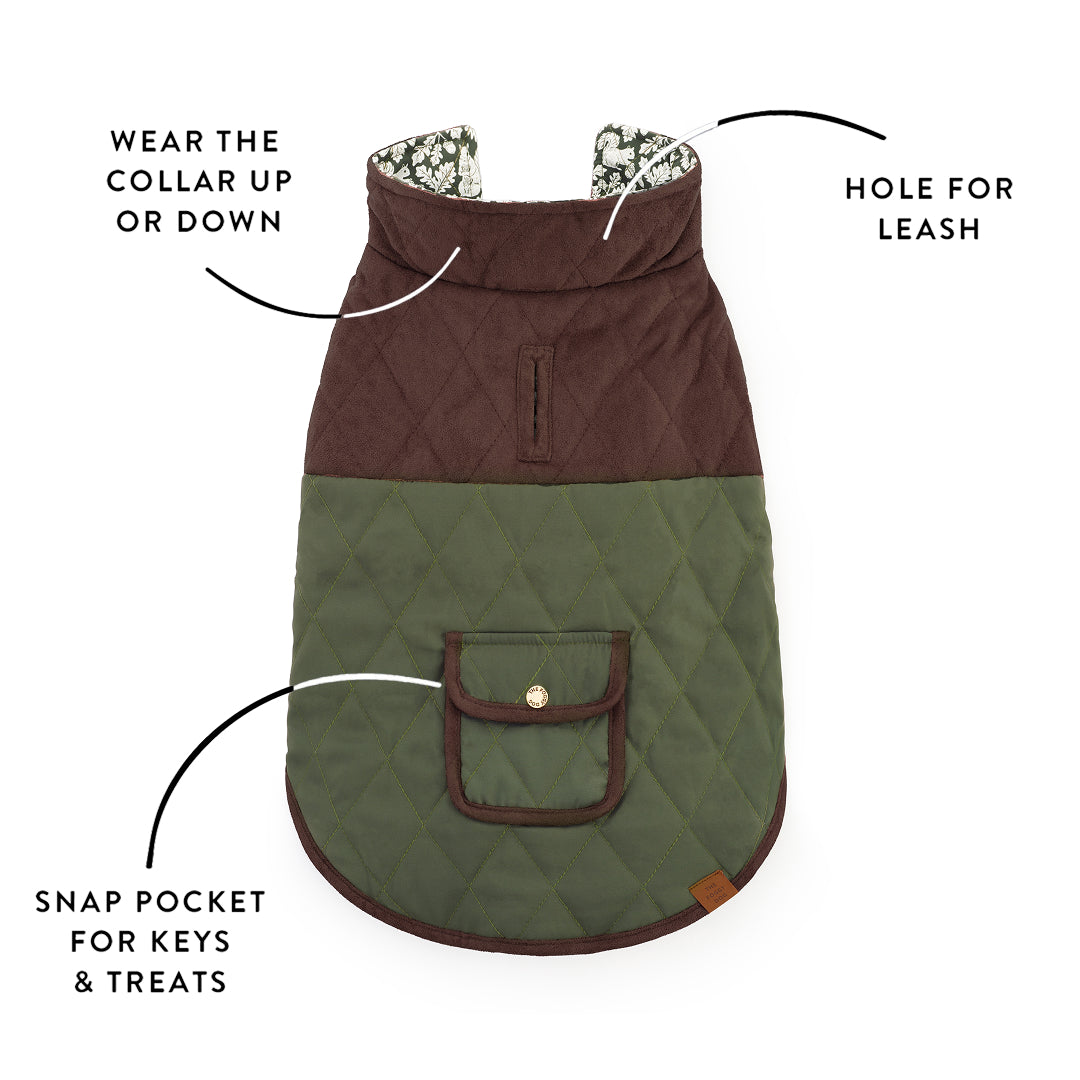 Olive Reversible Dog Jacket