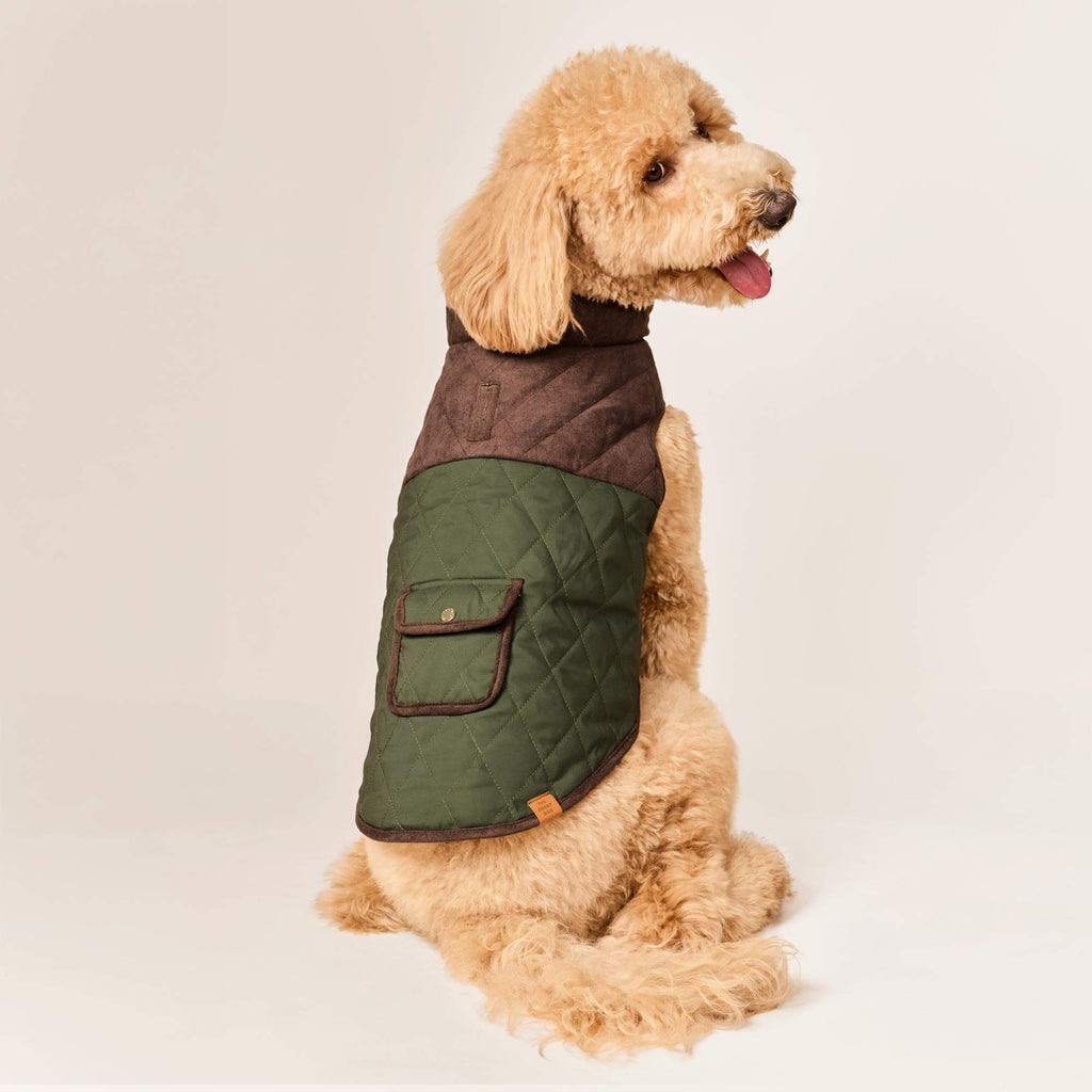 Olive Reversible Dog Jacket