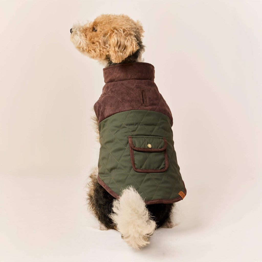 Olive Reversible Dog Jacket