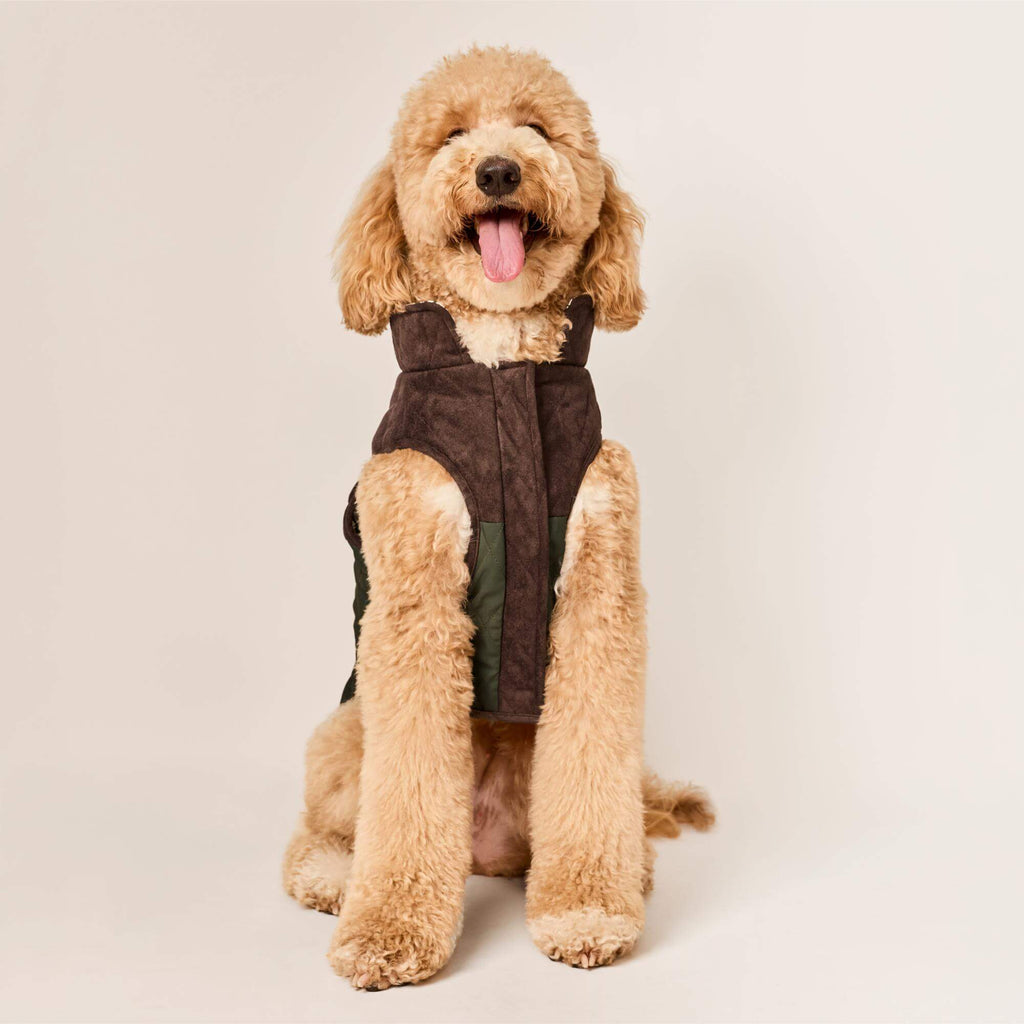 Olive Reversible Dog Jacket