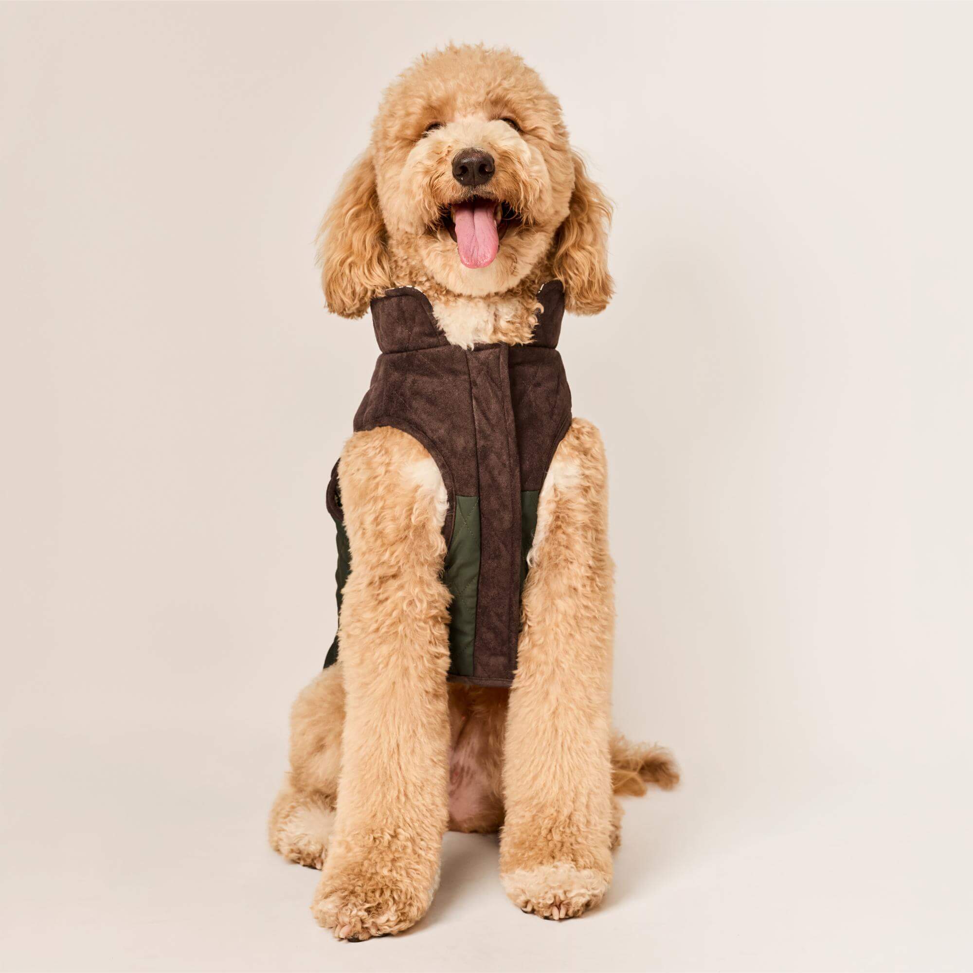 Olive Reversible Dog Jacket