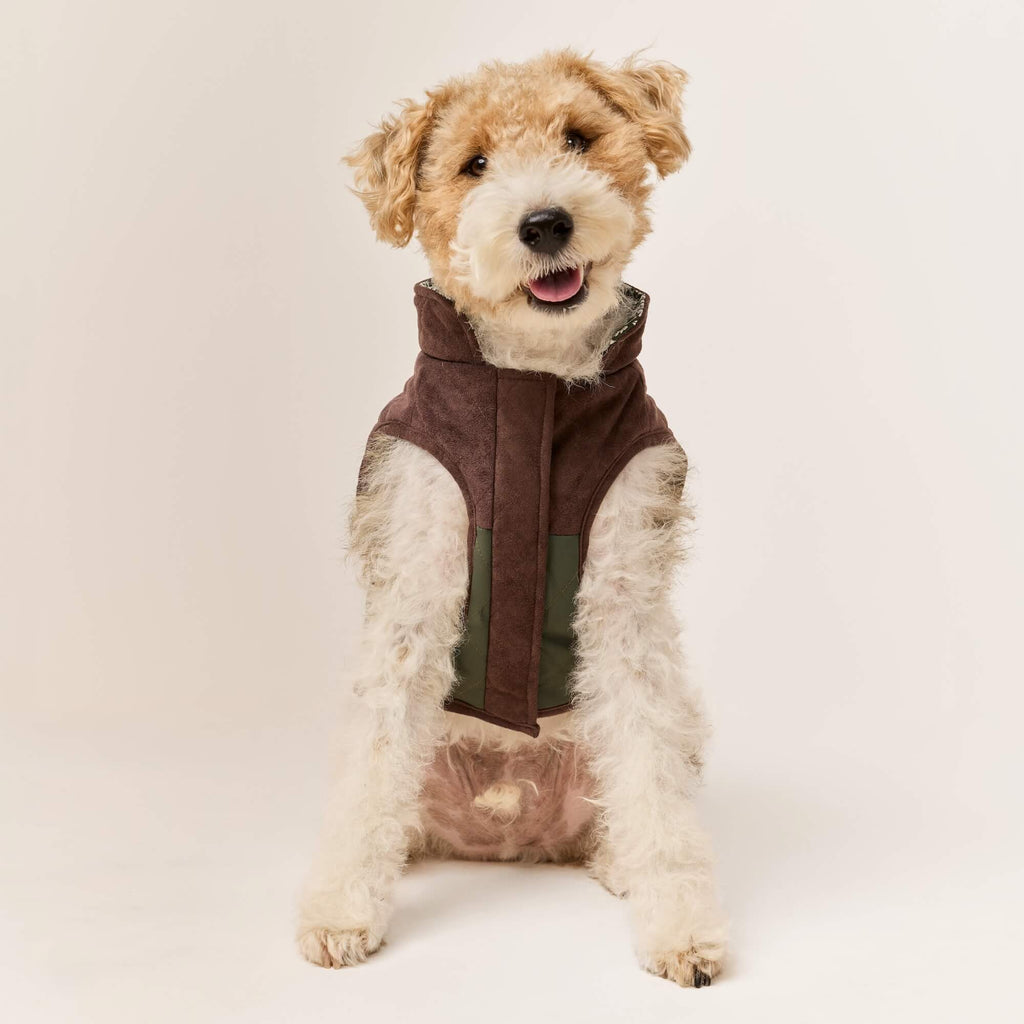 Olive Reversible Dog Jacket
