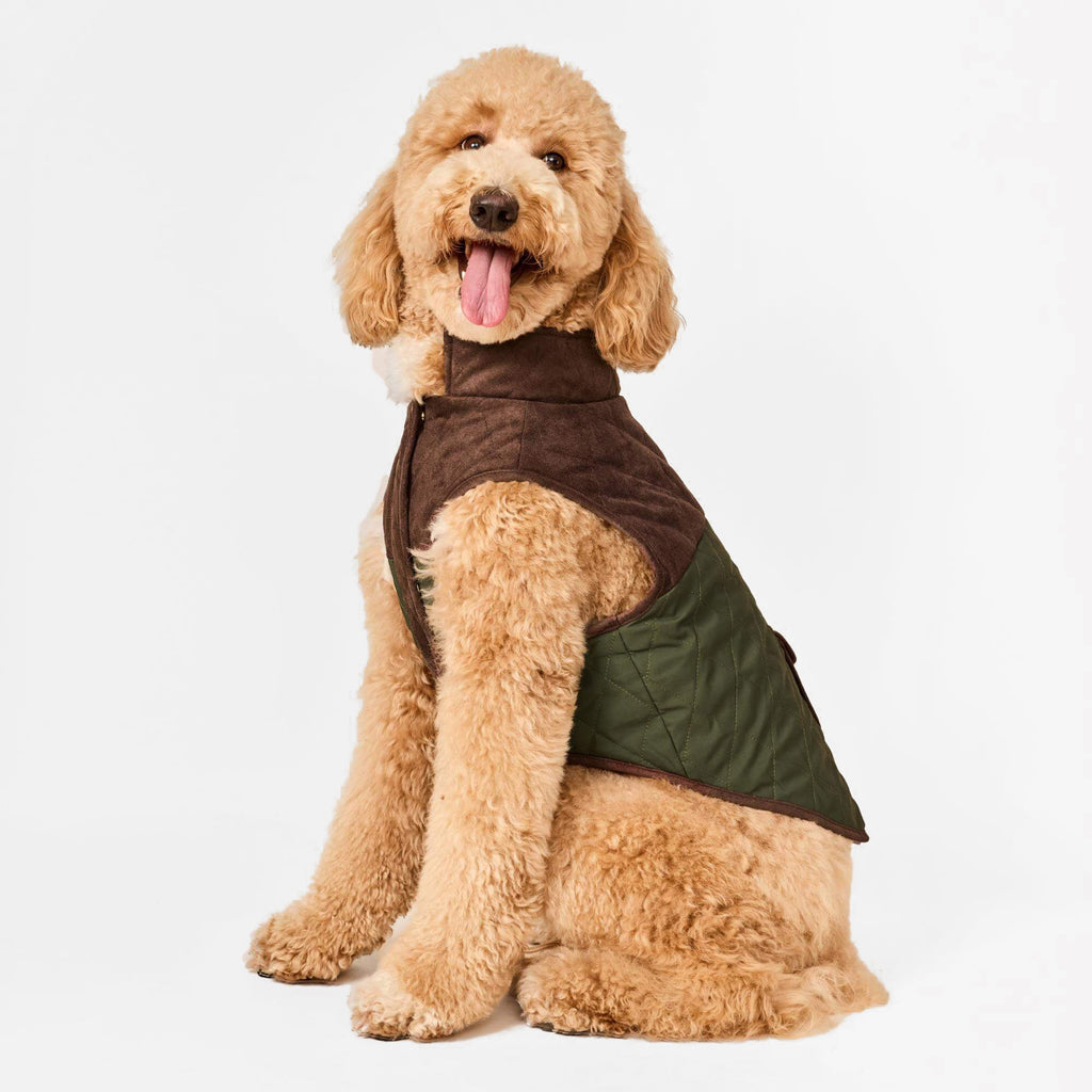 Olive Reversible Dog Jacket