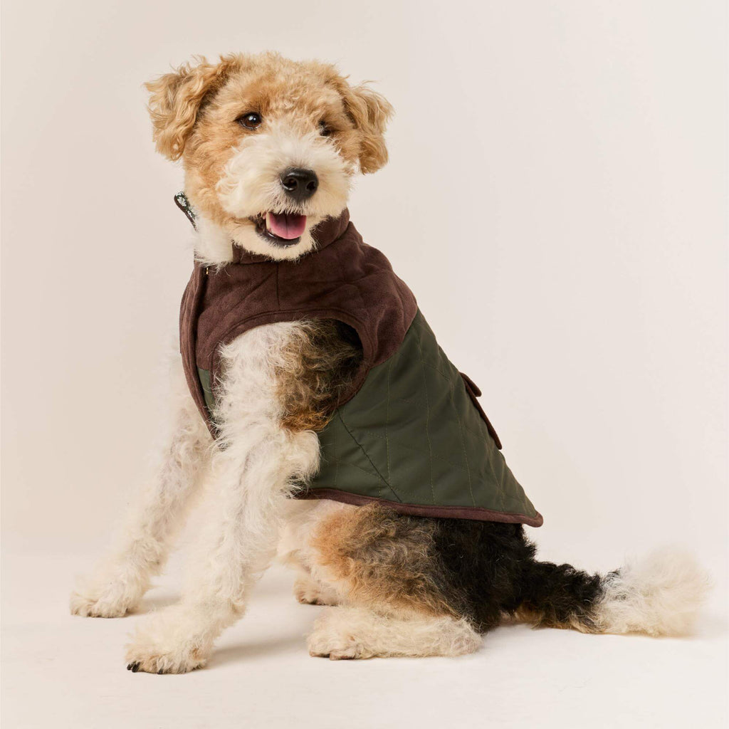 Olive Reversible Dog Jacket