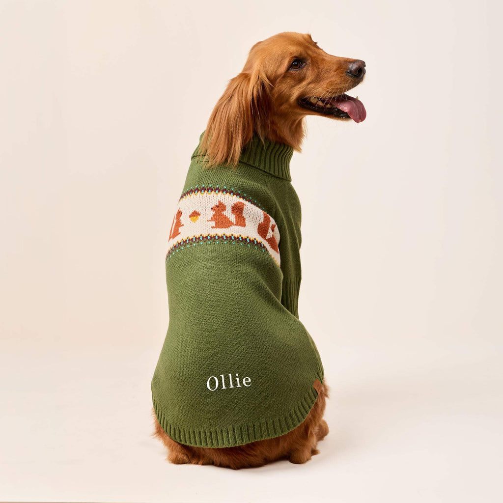 Squirrel Dog Sweater