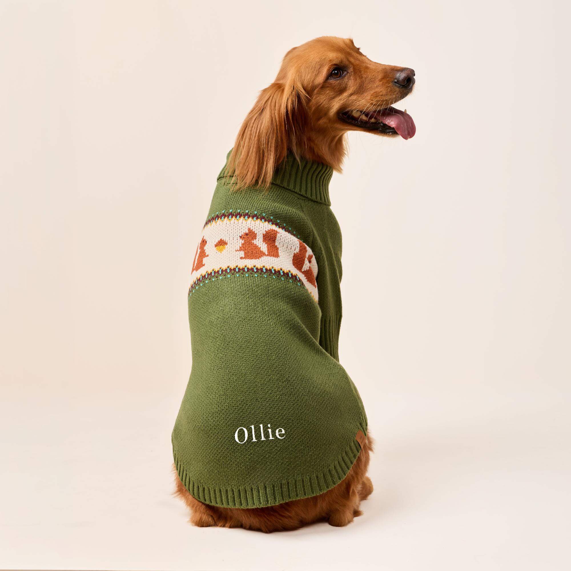 Squirrel Dog Sweater