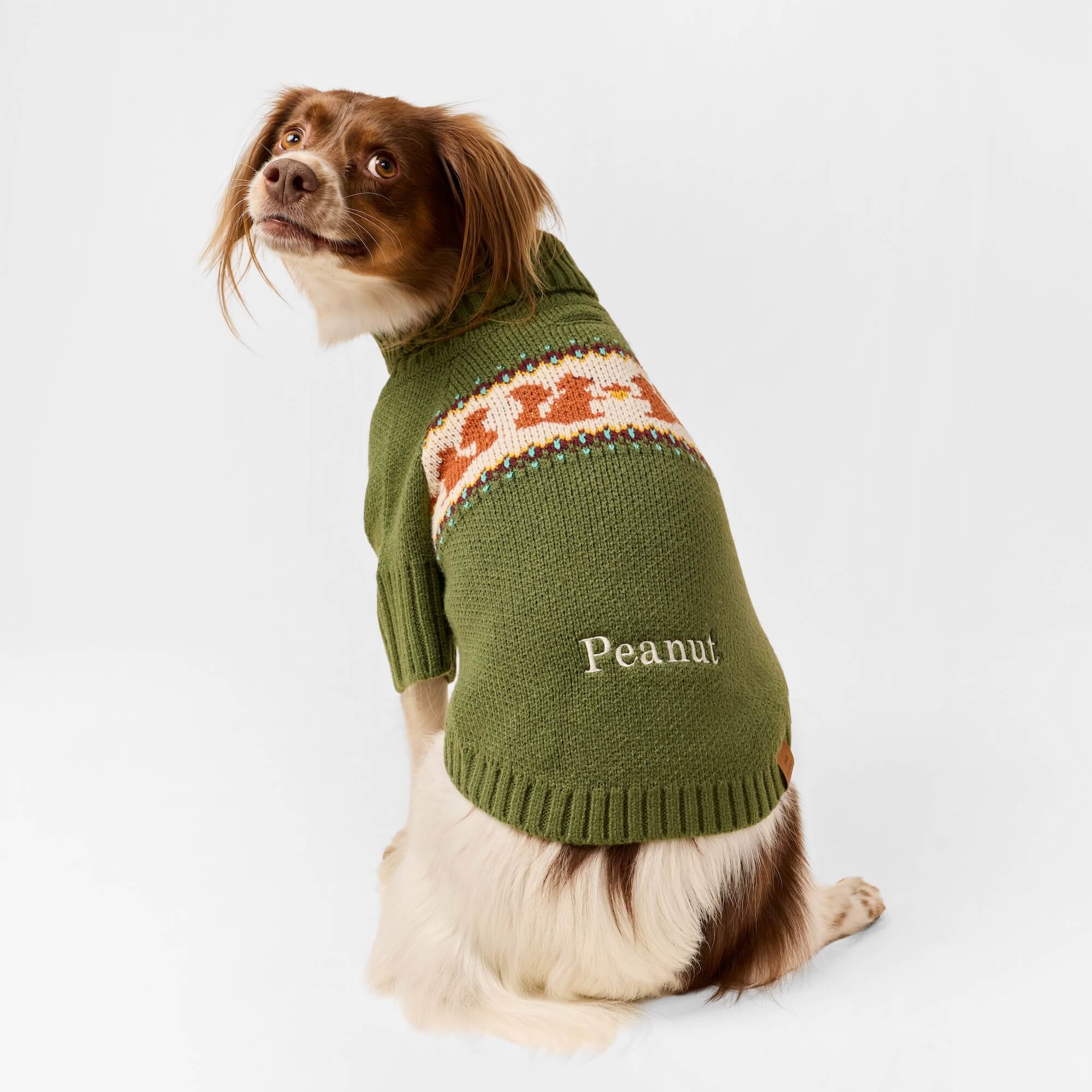 Squirrel Dog Sweater