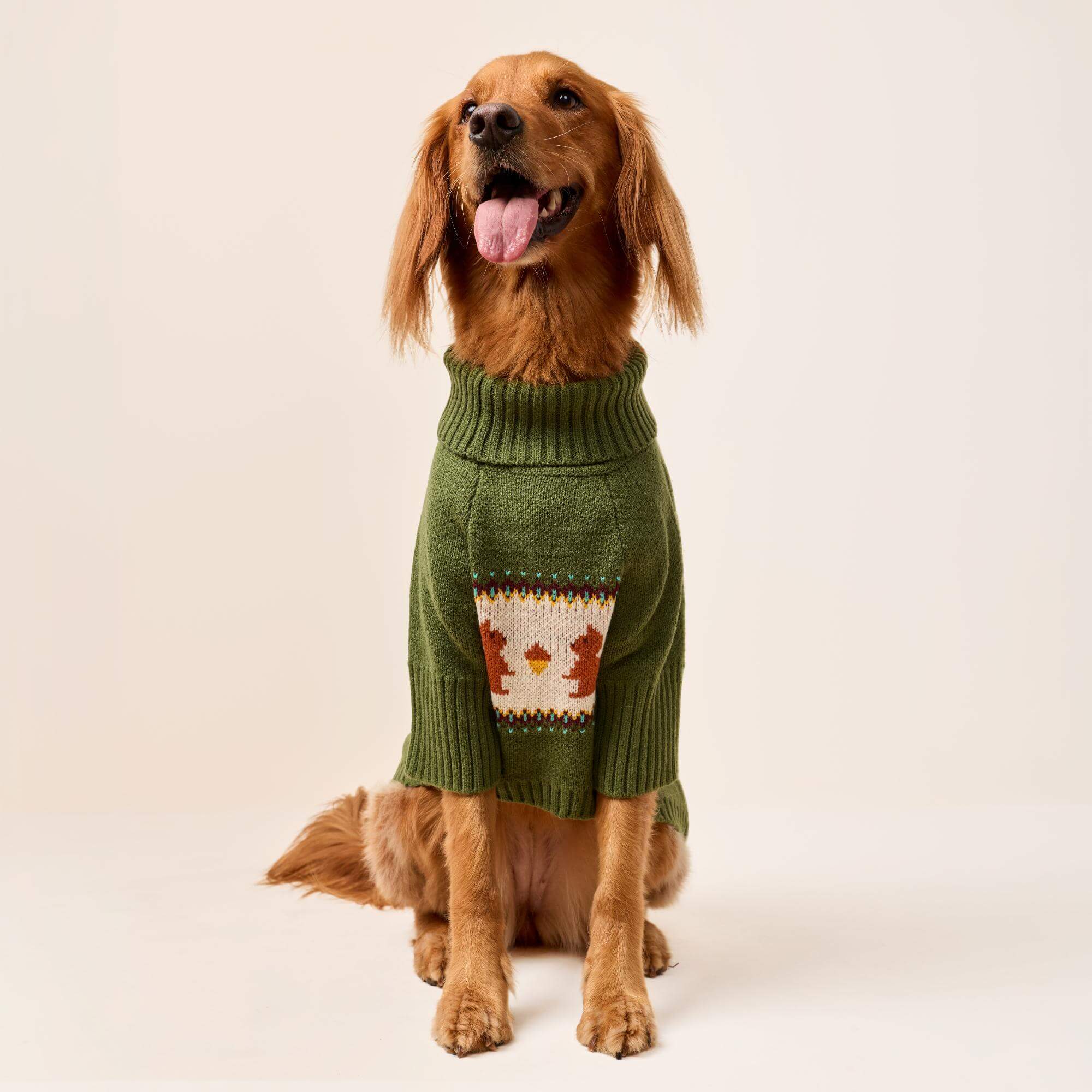 Squirrel Dog Sweater