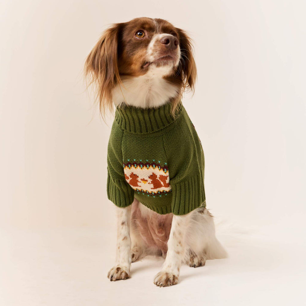Squirrel Dog Sweater