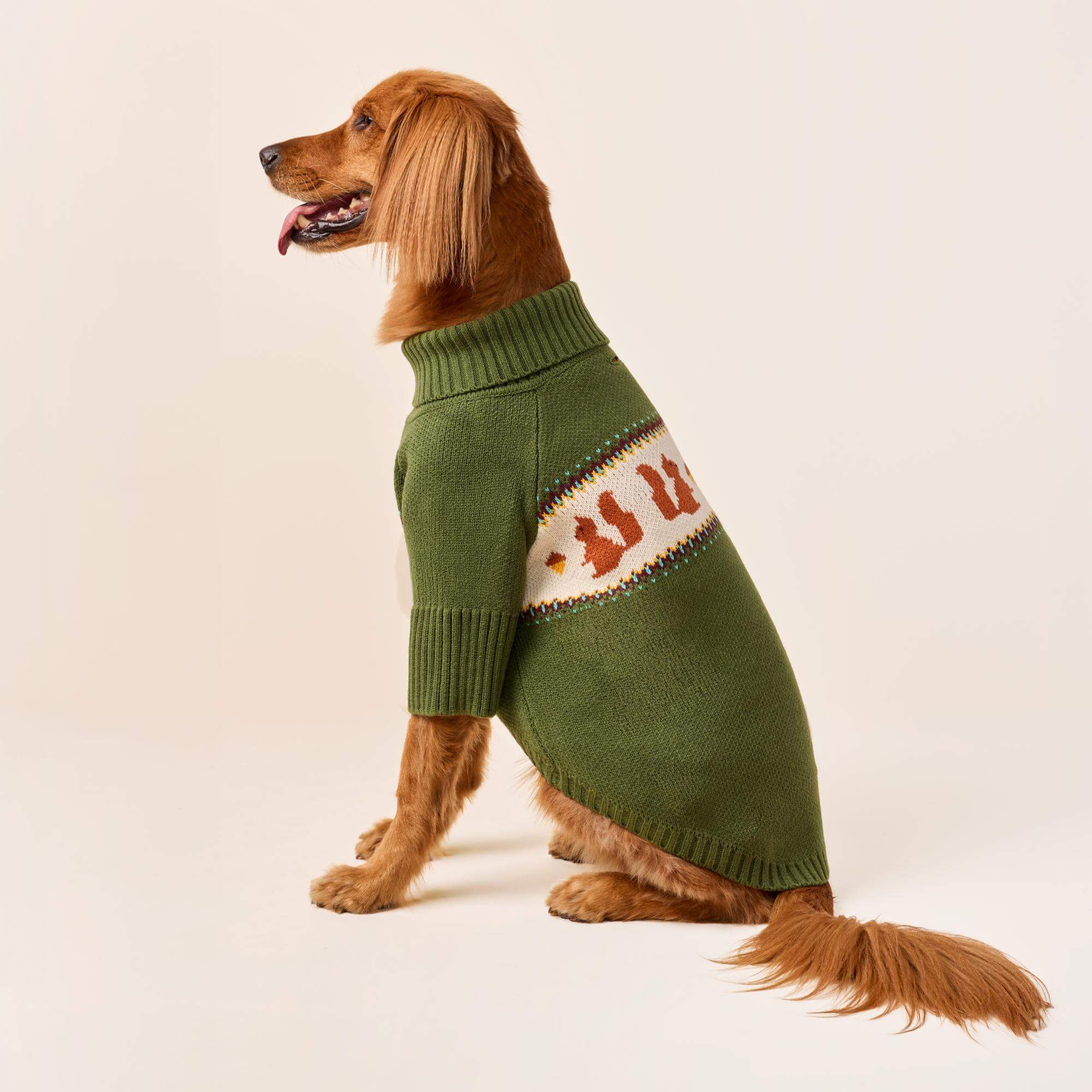 Squirrel Dog Sweater