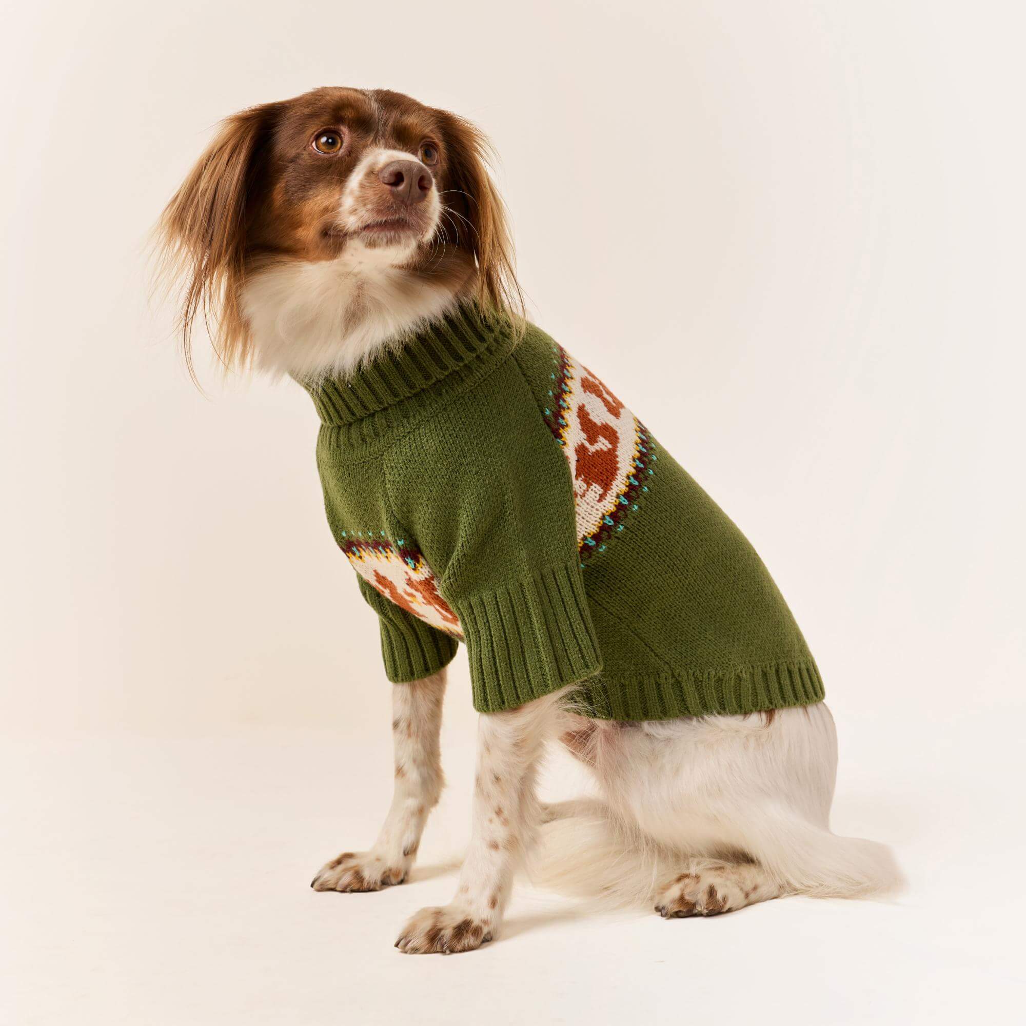 Squirrel Dog Sweater