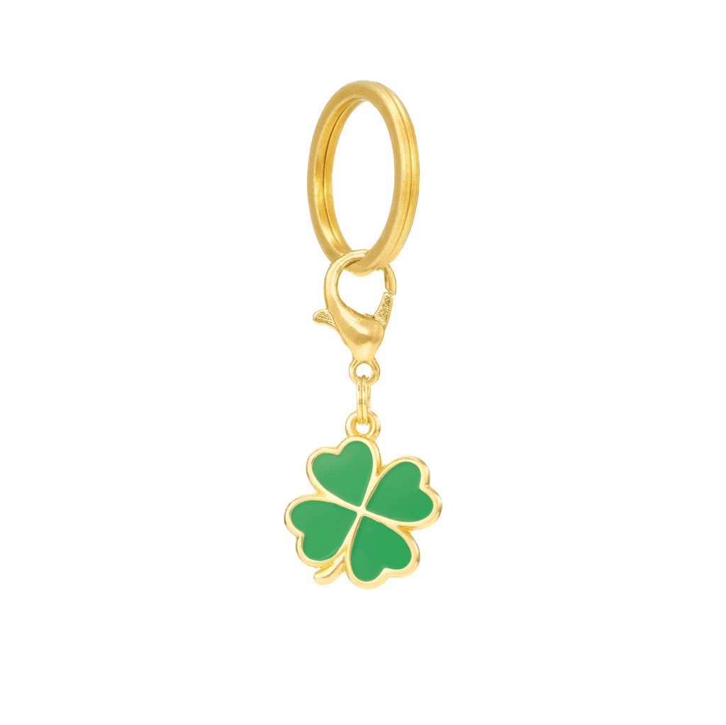 Lucky Rainbow Collar Charm Set