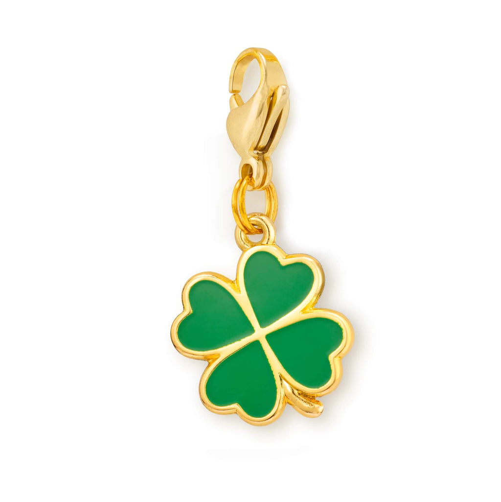 Lucky Rainbow Collar Charm Set