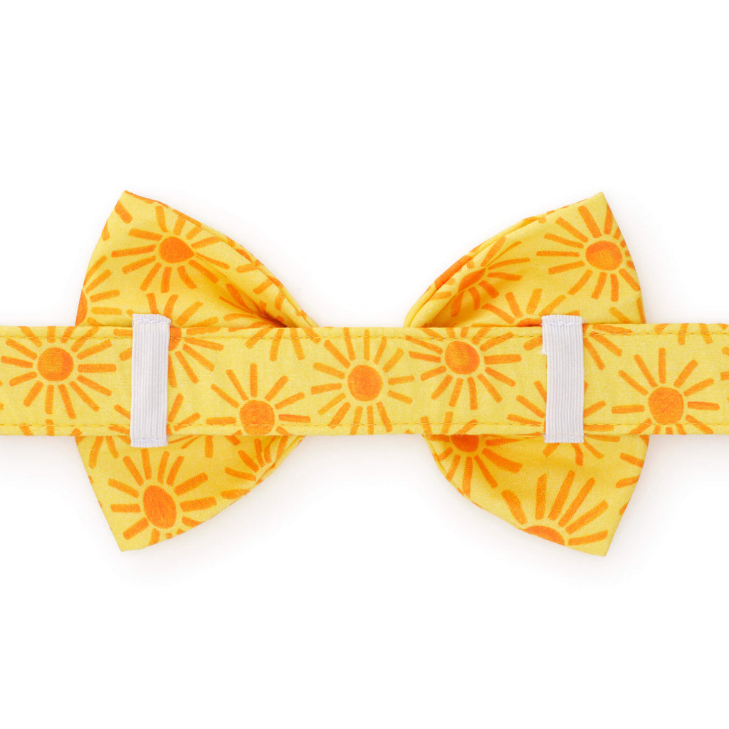Here Comes the Sun Bow Tie Collar