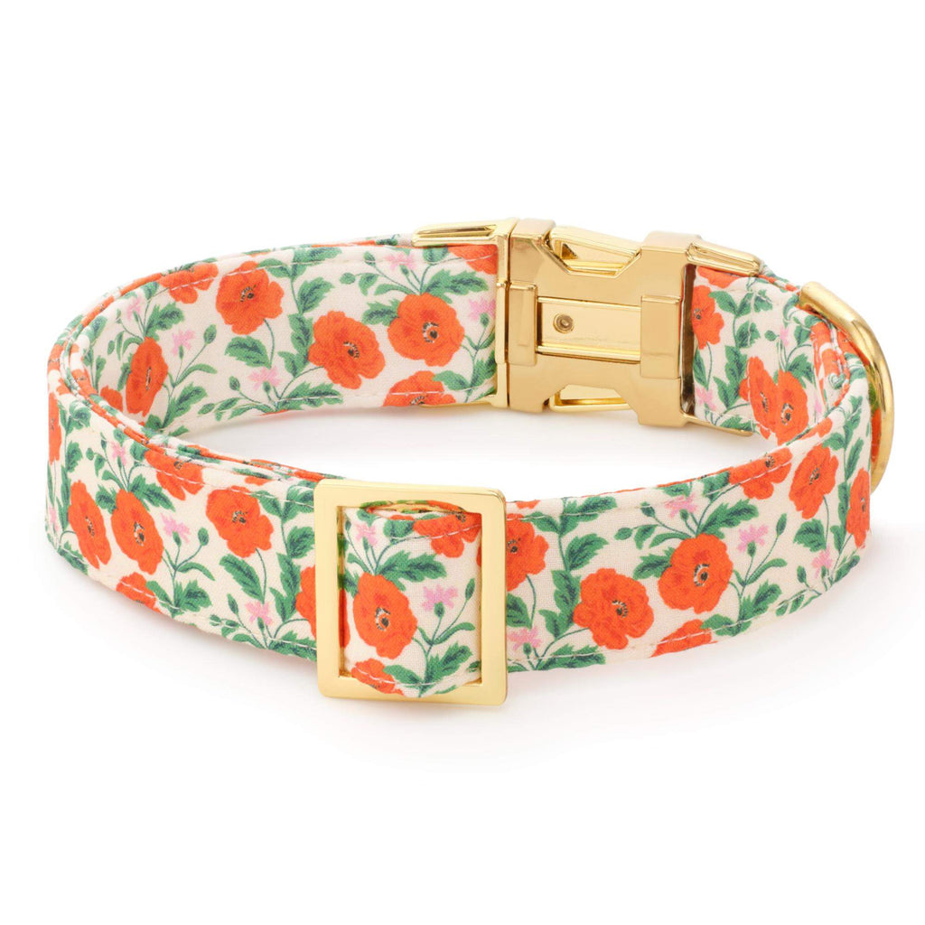 Golden Poppies Dog Collar