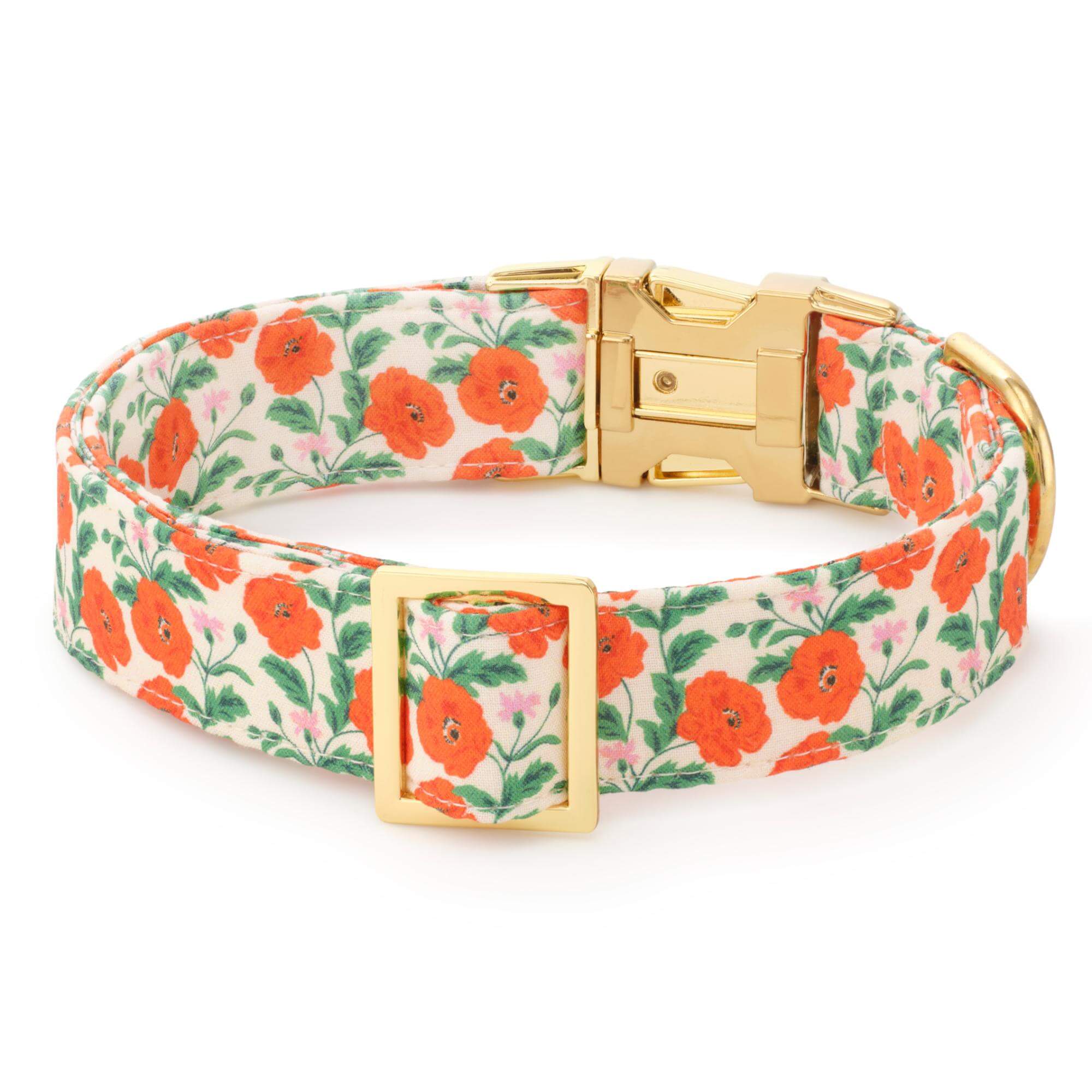 Golden Poppies Dog Collar