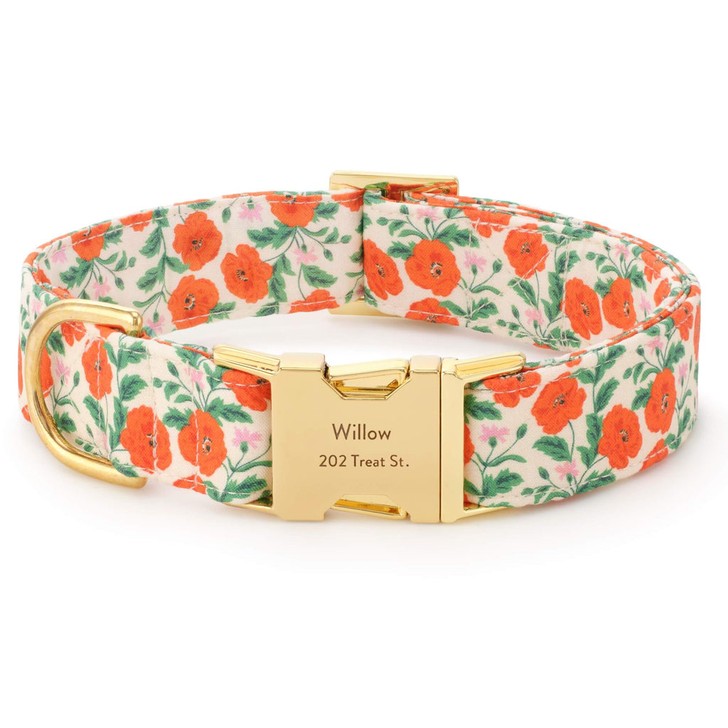 Golden Poppies Dog Collar