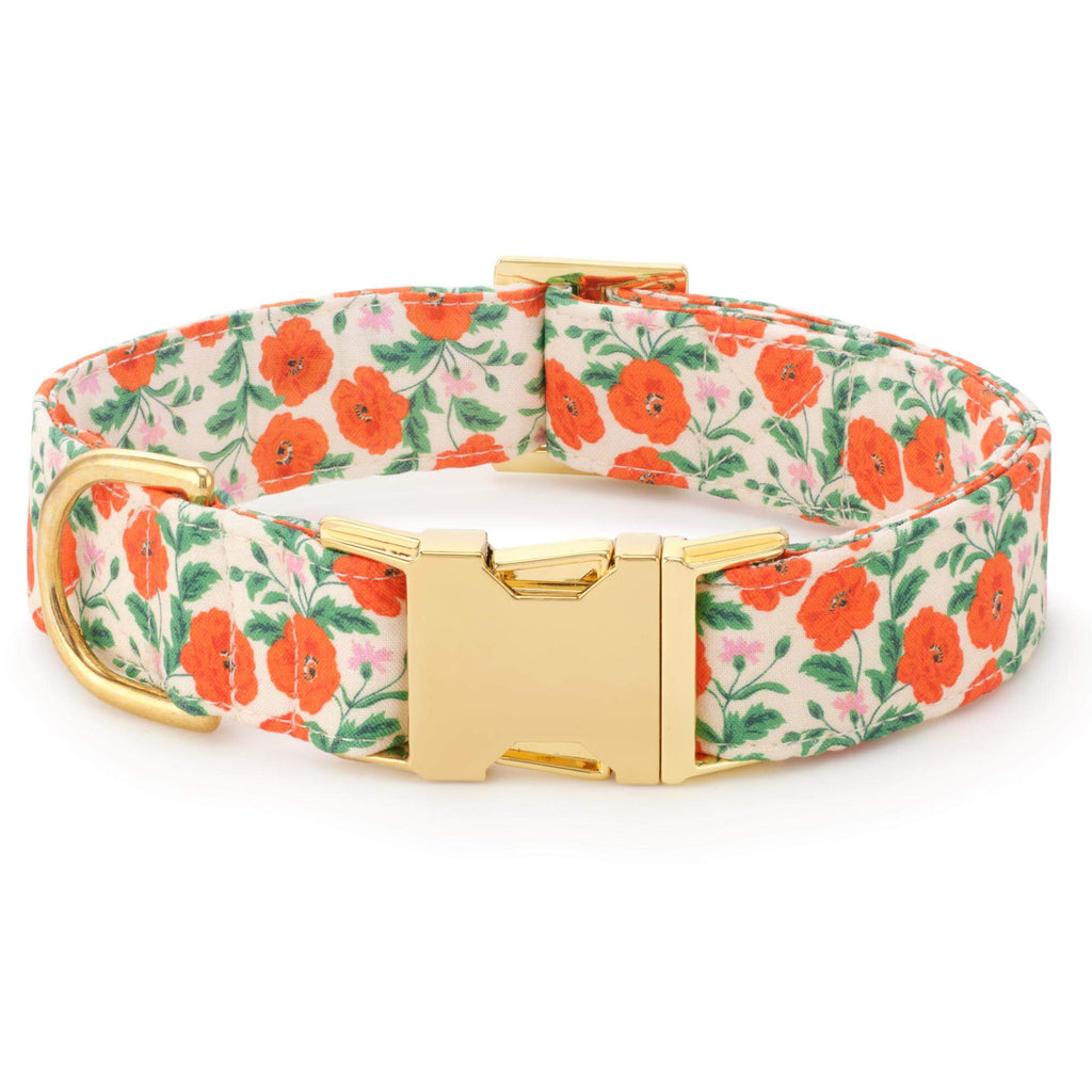 Golden Poppies Dog Collar