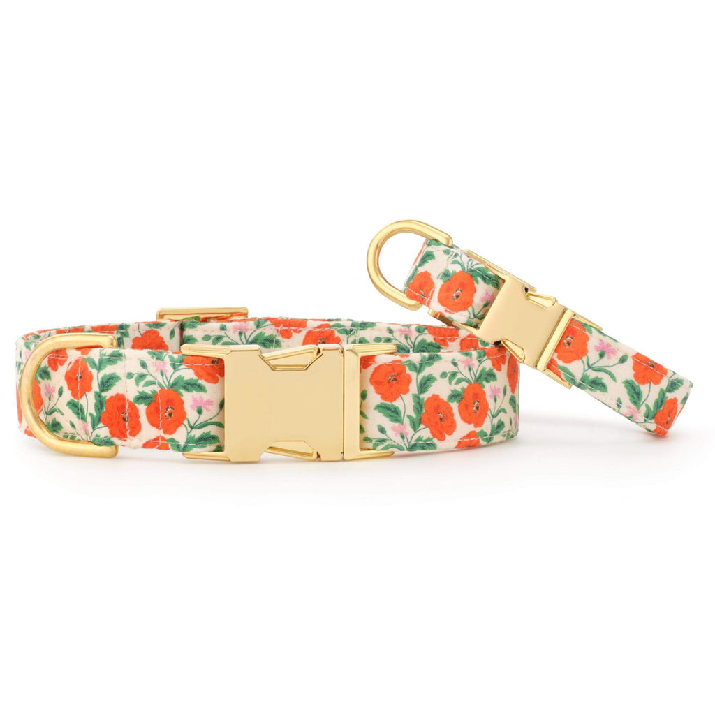 Golden Poppies Dog Collar