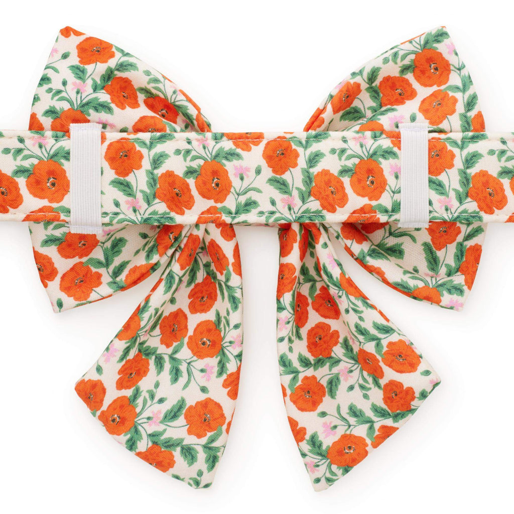 Golden Poppies Lady Bow Collar