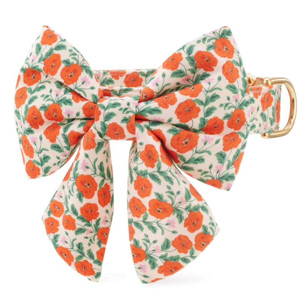 Golden Poppies Lady Bow Collar