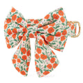 Golden Poppies Lady Bow Collar