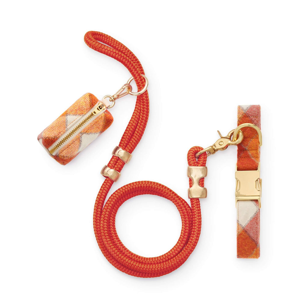 Pumpkin Spice Plaid Flannel Collar Walk Set