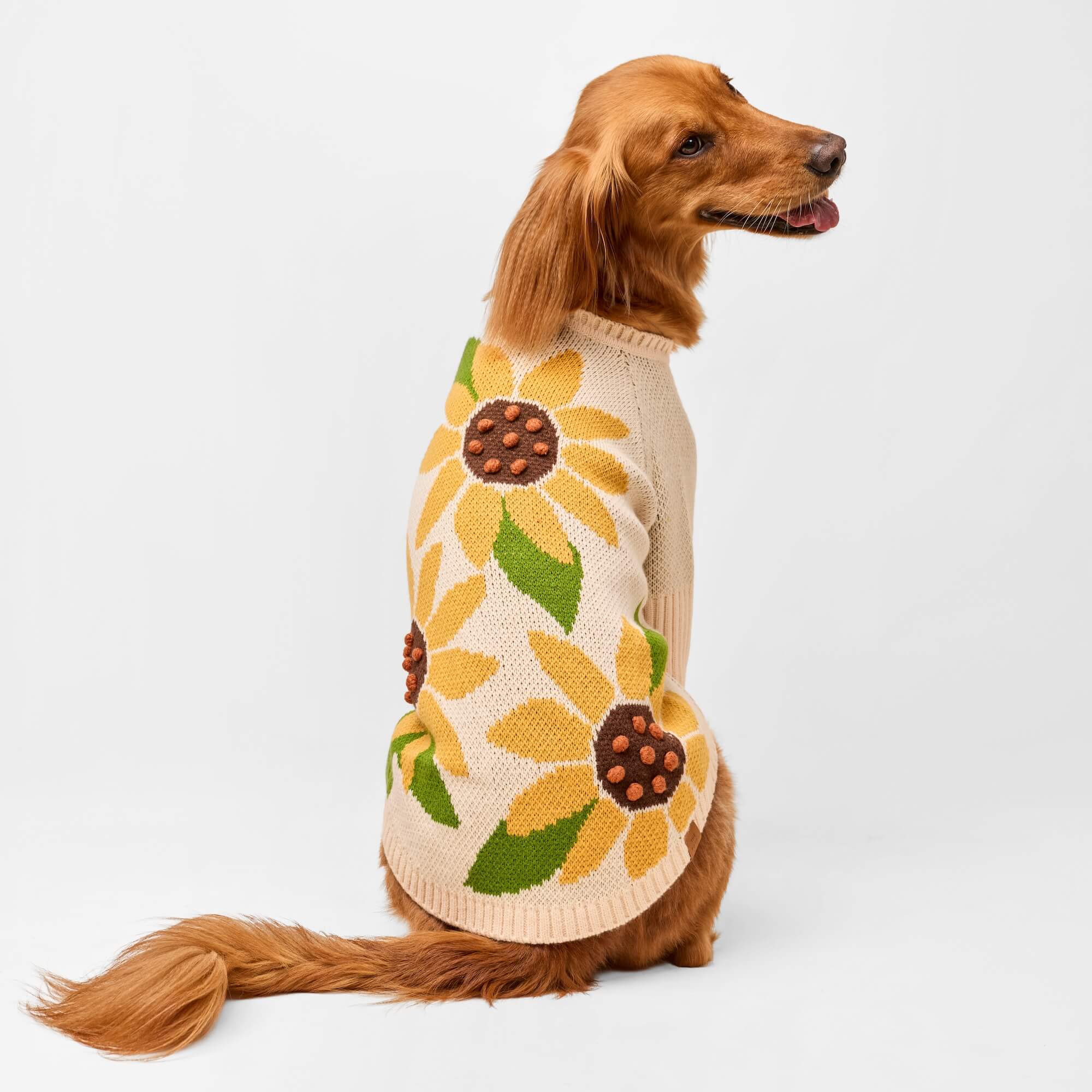 Sunflower Dog Sweater