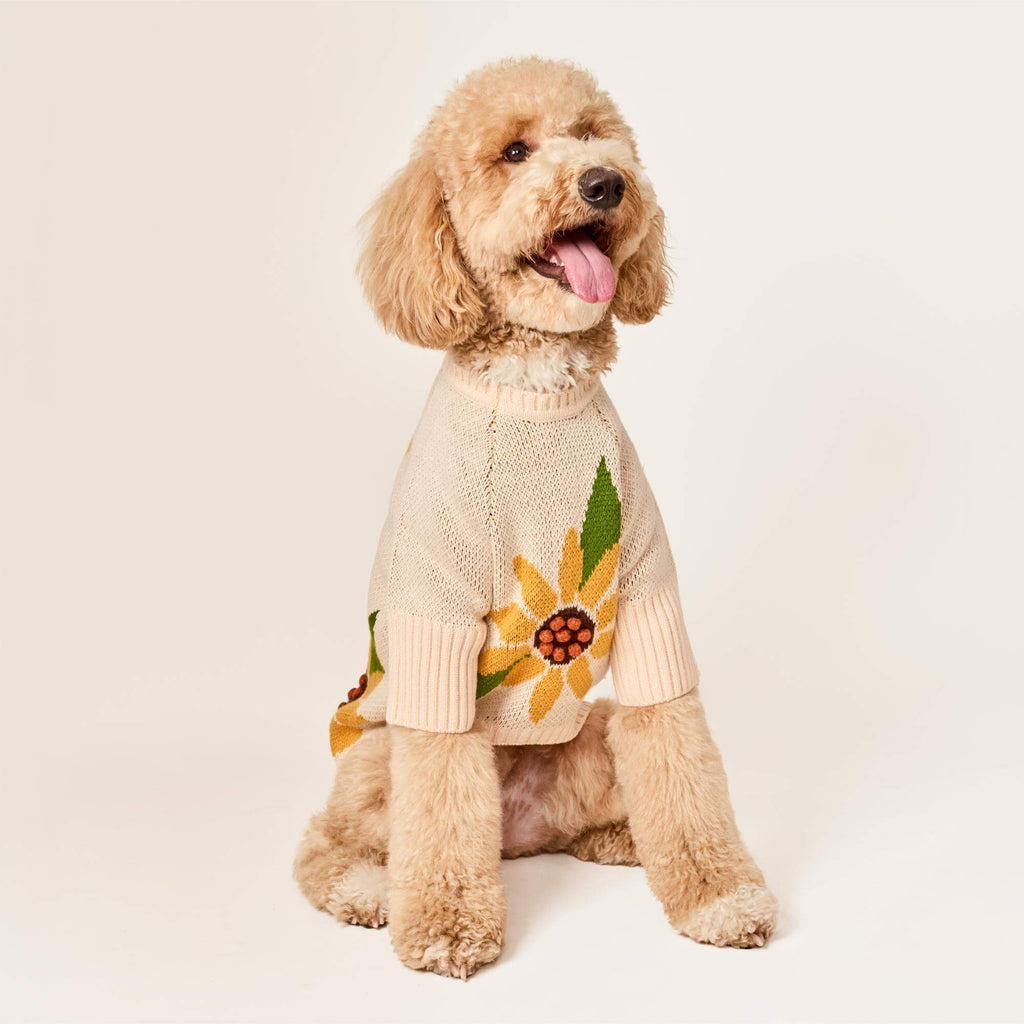 Sunflower Dog Sweater
