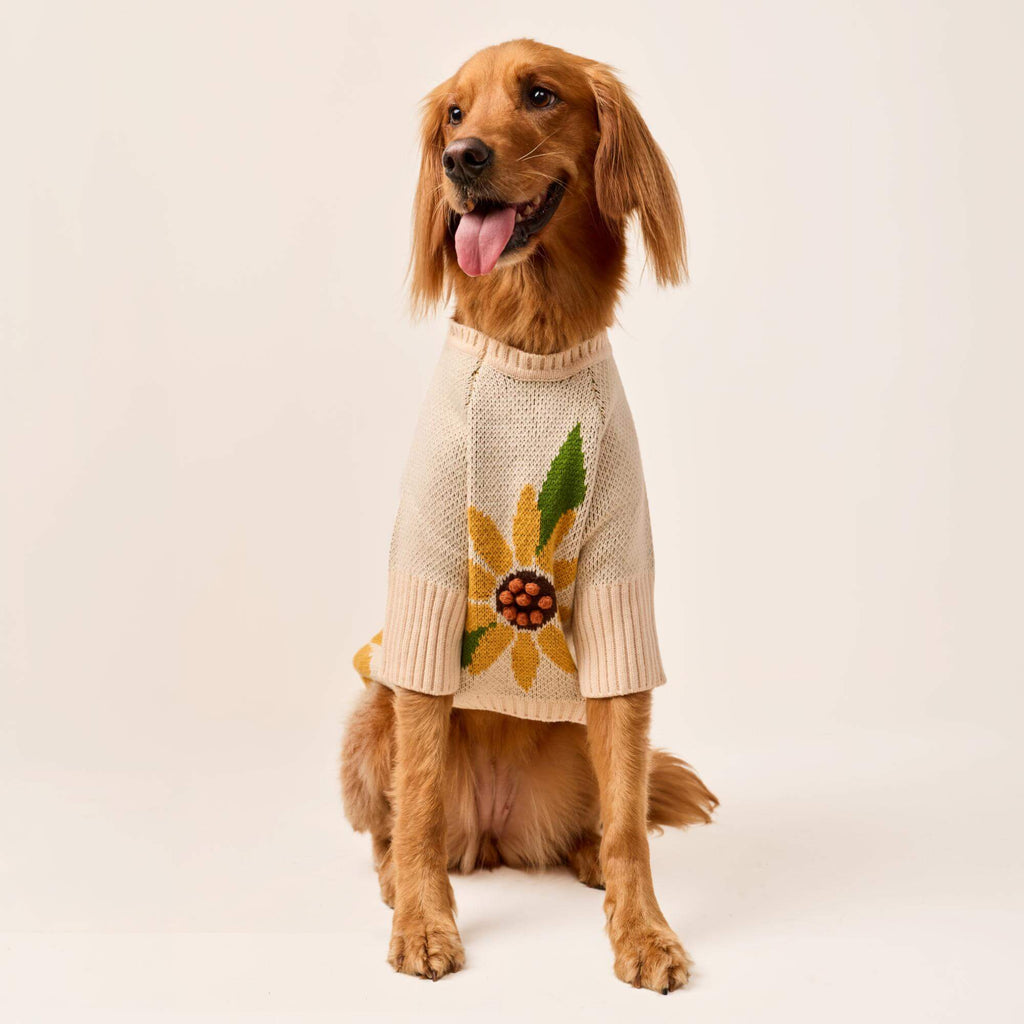 Sunflower Dog Sweater