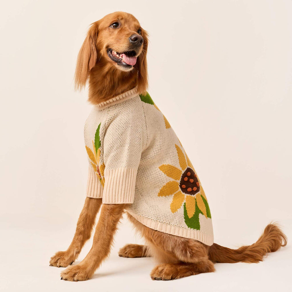 Sunflower Dog Sweater
