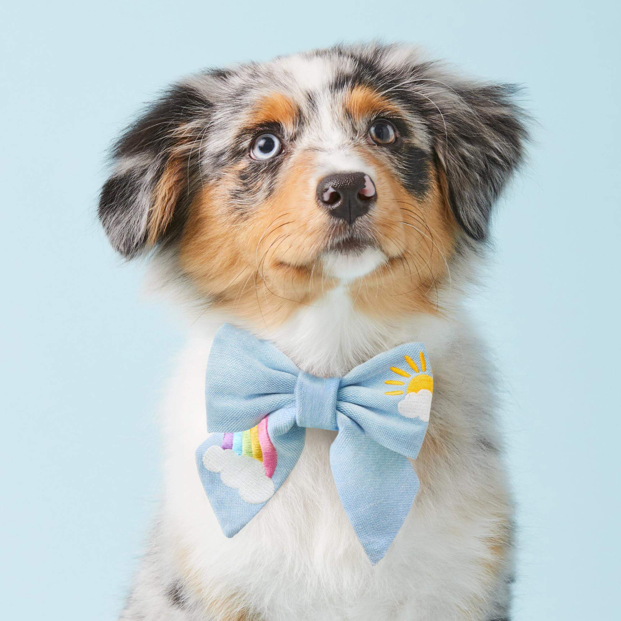 Sunshine and Rainbows Embroidered Lady Bow Collar