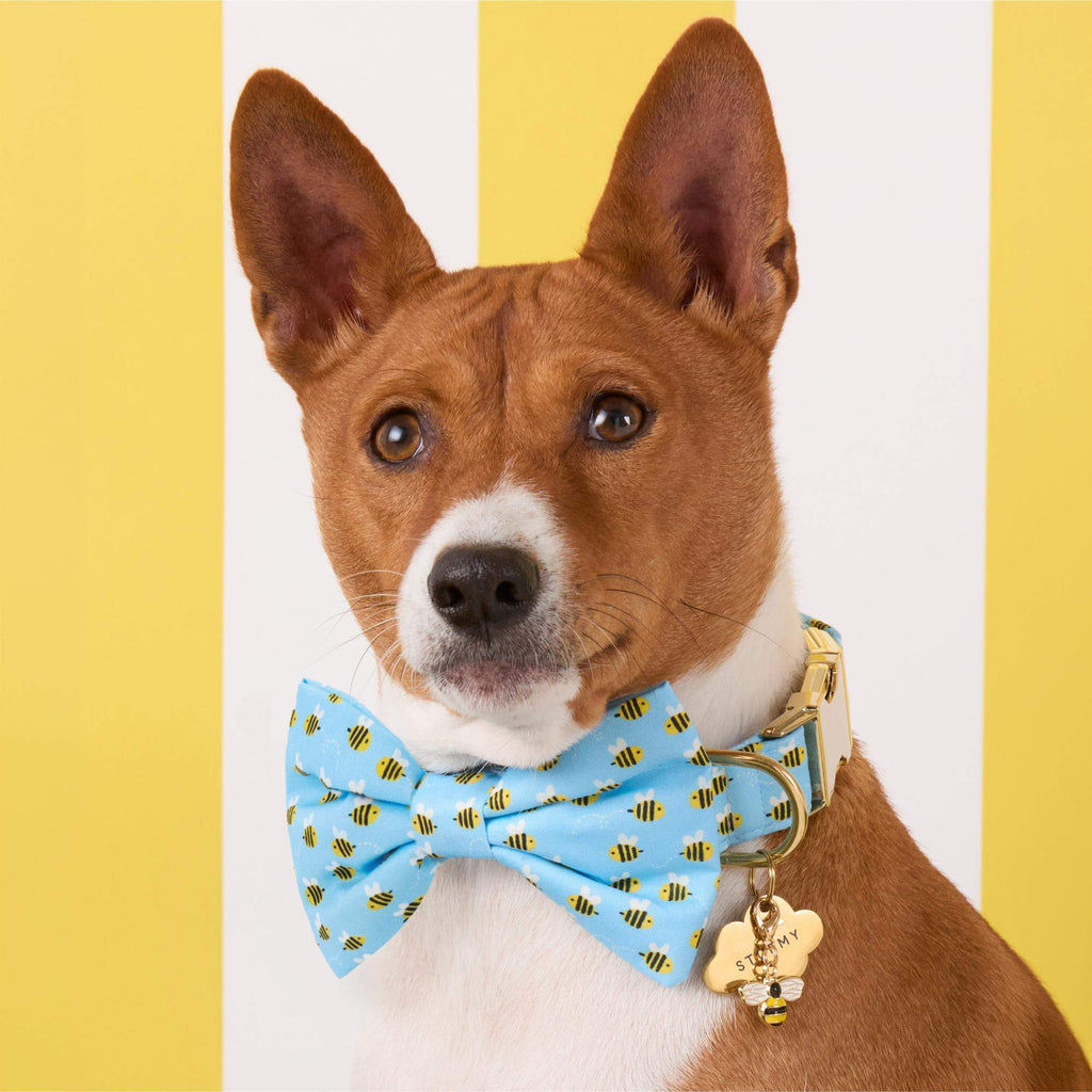 Sweet as Can Bee Bow Tie Collar